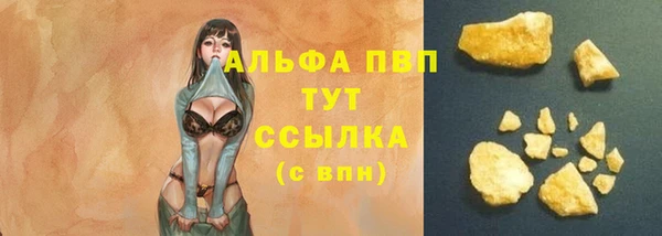 спайс Михайлов