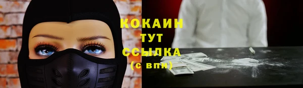 твердый Верея