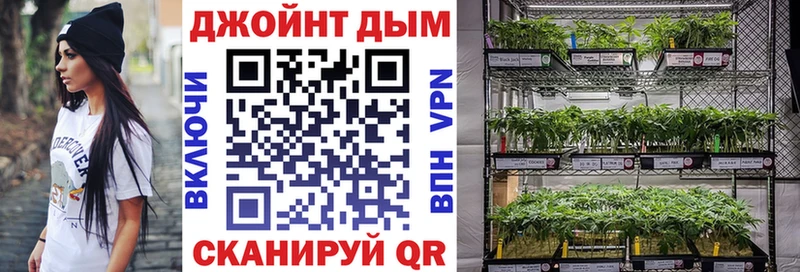 магазин продажи наркотиков  Весьегонск  Каннабис тримм 
